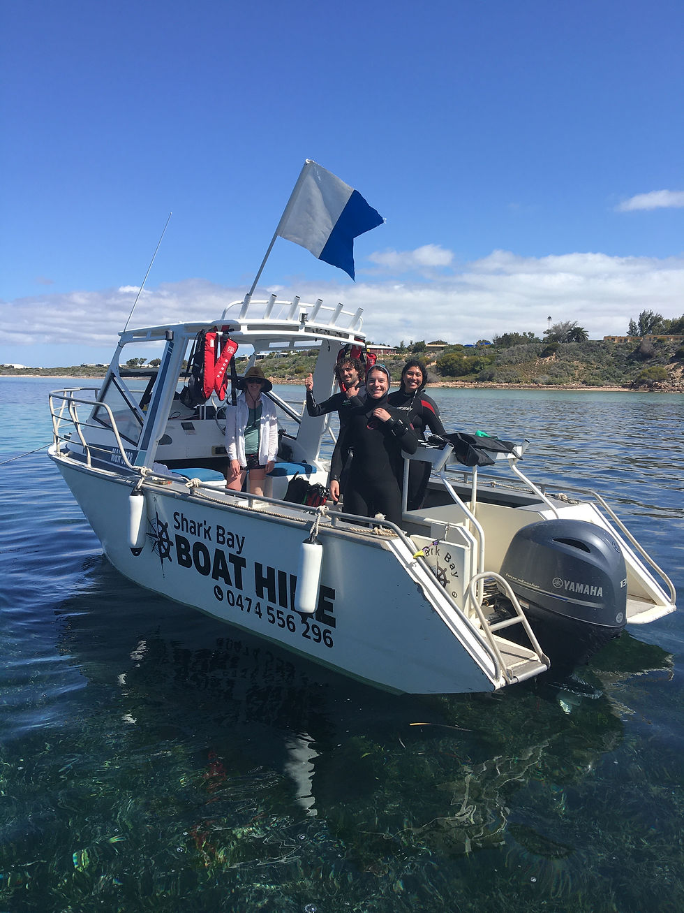 Seagrass restoration