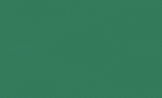 Green Submit Button