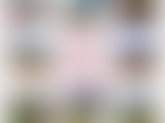 Finaliza el proyecto financiado por la Junta de Castilla y León para garantizar el Derecho a la alimentación de familias en áreas rurales de Guatemala