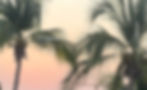 8A59A1FA-7EB9-4552-B63A-91F1A017C8AF_1_201_a.jpeg