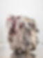 image0 (1).jpeg