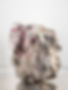 image0 (1).jpeg