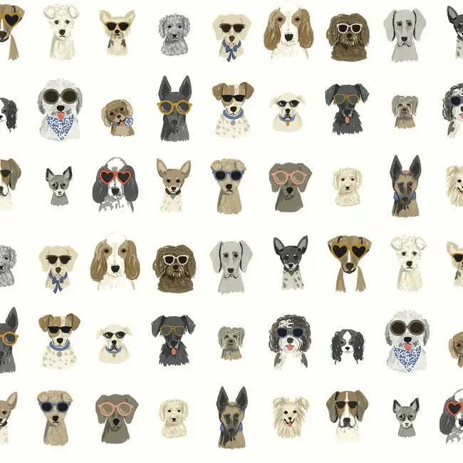 fun dog peel and stick wallpaper