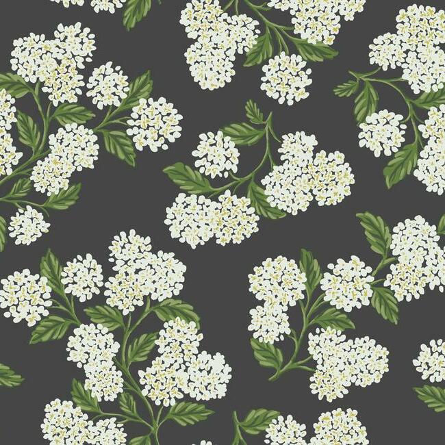 Thumbnail: black and white large hydrangea floral wallpaper pattern
