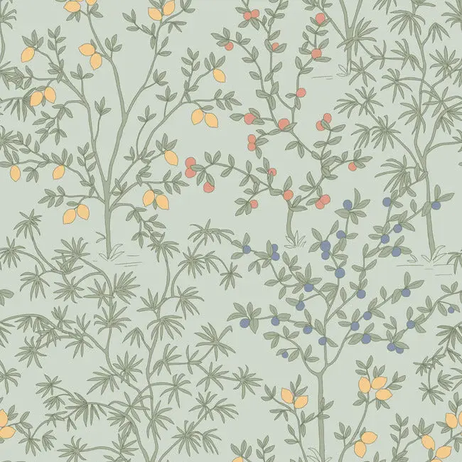 citrus vintage botanical whimsical peel and stick wallpaper