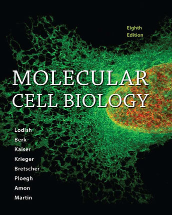 Molecular-Cell-Biology-8th-Edition.jpg