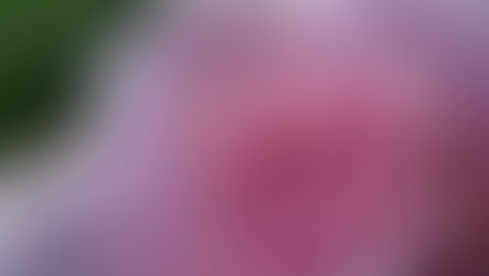 Care worker from Myanmar