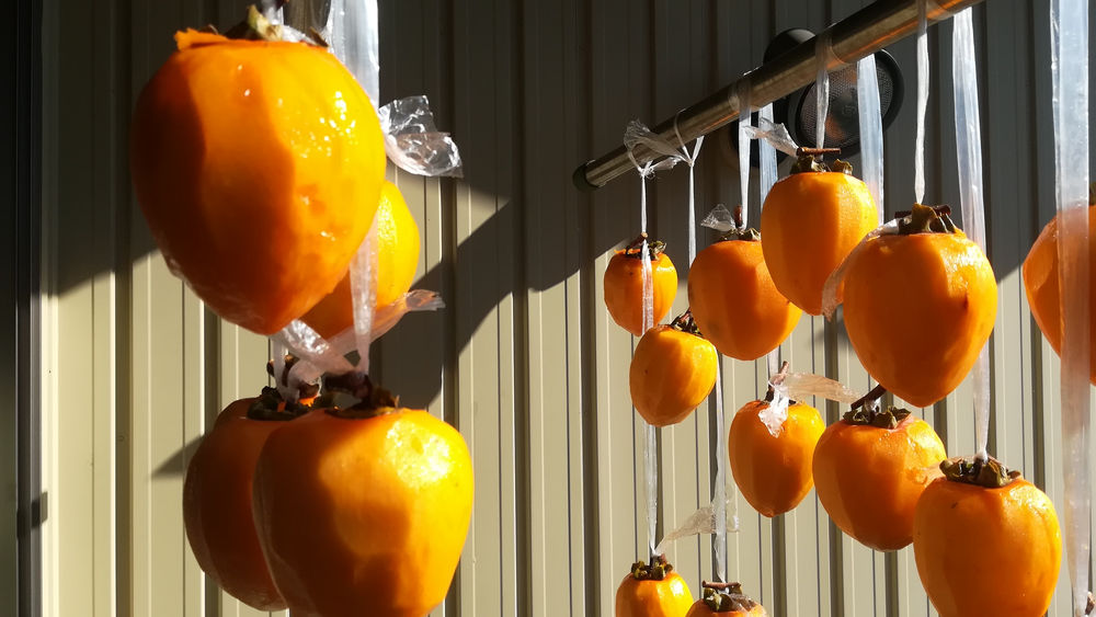 Two types of persimmons, bitter and sweet.