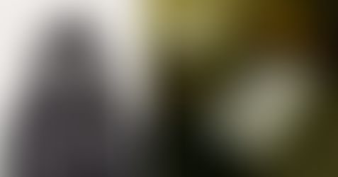 Մեքսիկայում գնդակահարել են նախկին նահանգապետի դեմ դատը շահած լրագրողին