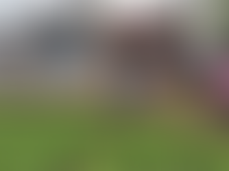 Հնդկաստանում եղբայրը գլխատել է հղի քրոջը