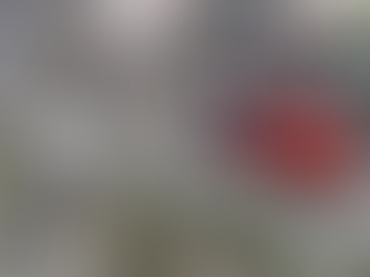 Ճապոնիայում մեքենան վրաերթի է ենթարկել երեխաների խմբին. կան տուժածներ