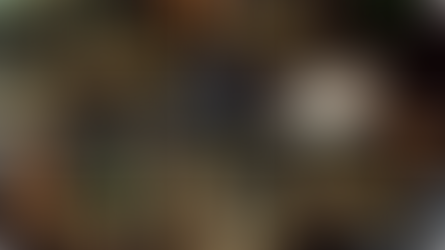 Կամերունում ֆուտբոլային խաղի ժամանակ հրմշտոց է սկսվել․ կան զոհեր (տեսանյութ)