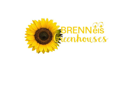 Untitled design (1)_edited.png