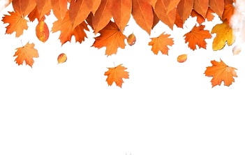 autumn-leaves-arrangement-with-copy-space_23-2149043526 (1) (1).png