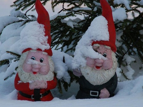 Garden gnomes in snow