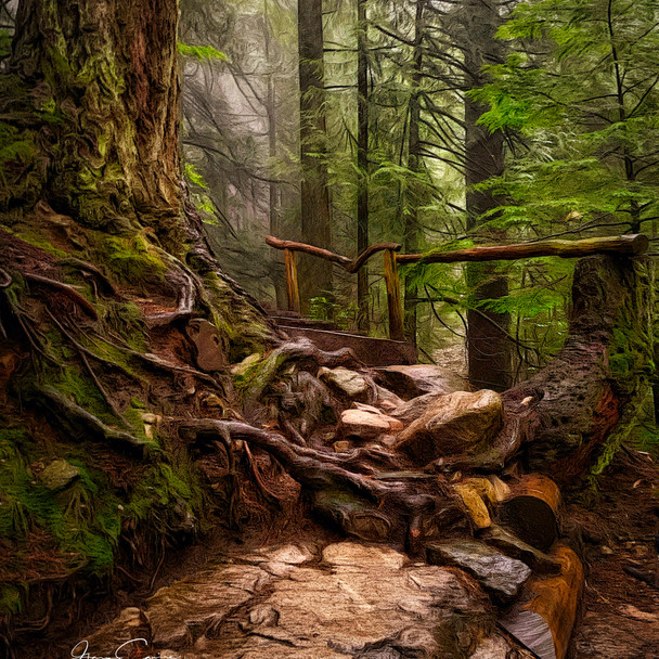 Grouse Grind, Wet & Cold_