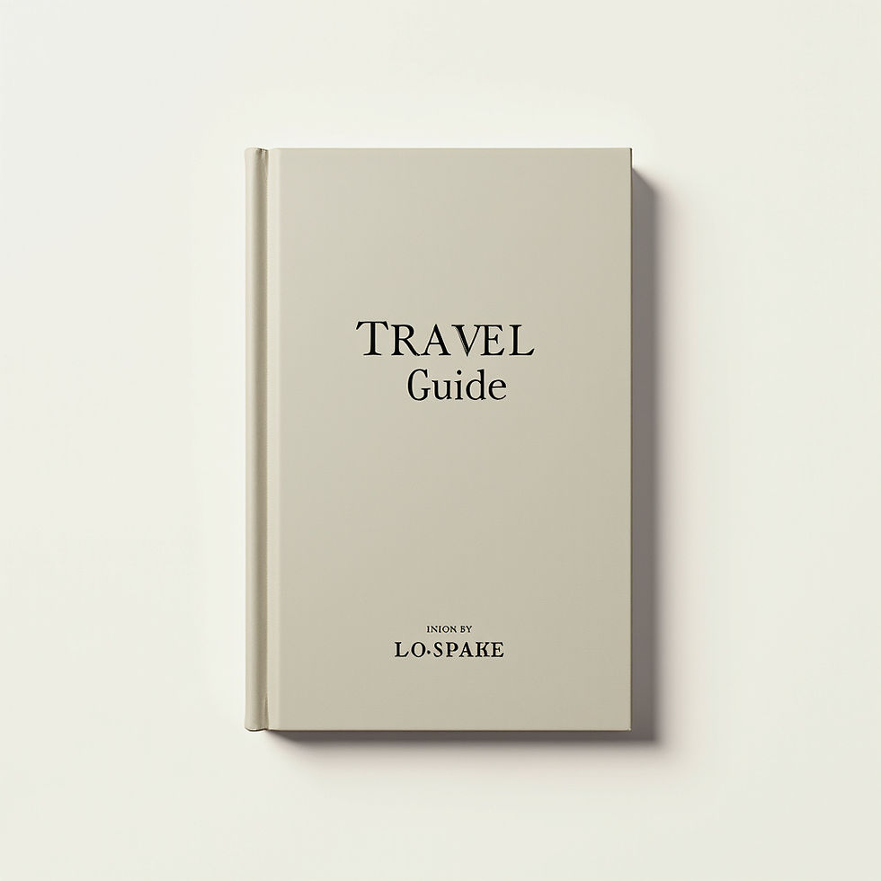 Vintage Travel Guide