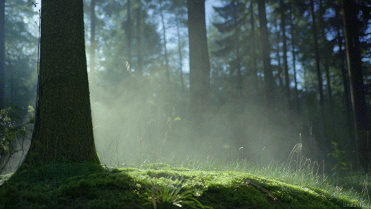 fc5f2cbfc8b3f89af197a02aaef345c3.gif