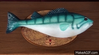 fish fry 3.gif
