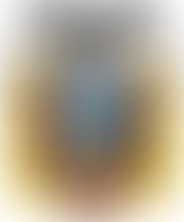 ¿Olvidamos como es nuestro escudo realmente?