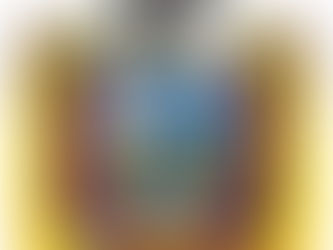 ¿Olvidamos como es nuestro escudo realmente?