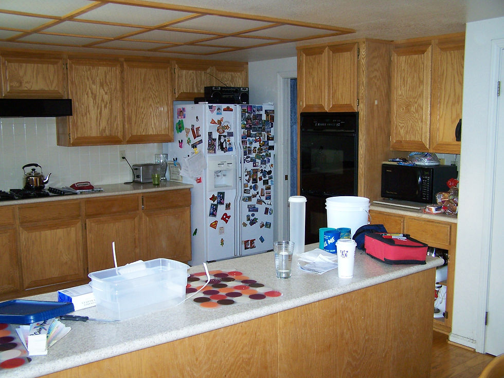 After Cabinet Repainting