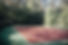 A small tennis court_edited_edited.jpg