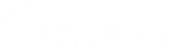  HP N Media logo