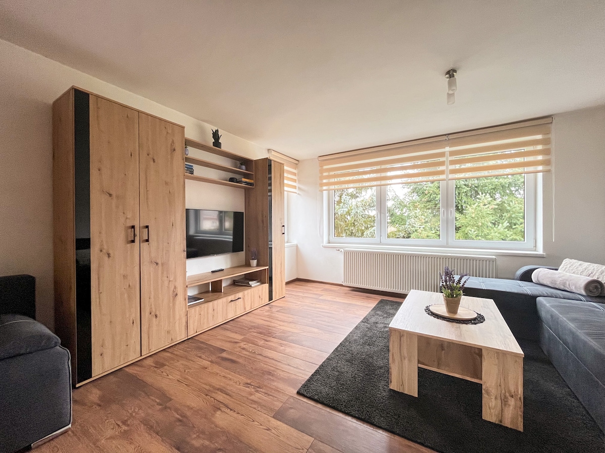 Apartmány Slavíkov - Superior Apartment