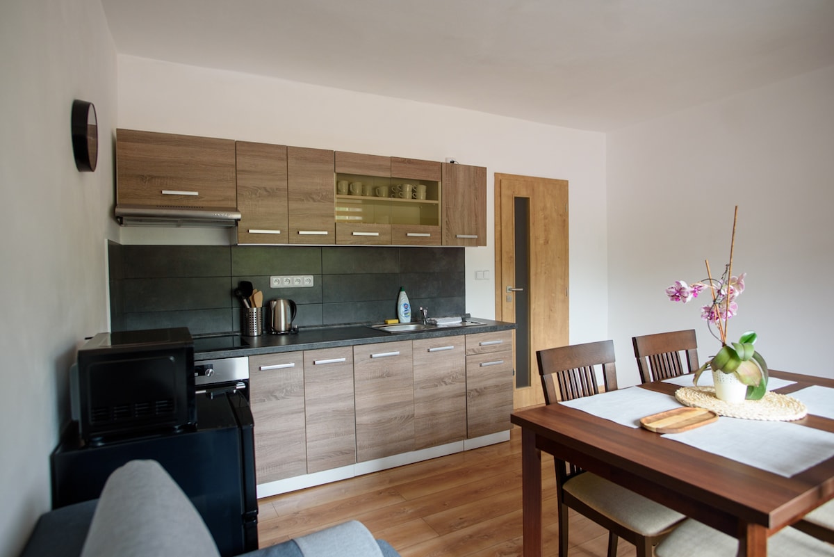 Apartmány Slavíkov - Country Suite