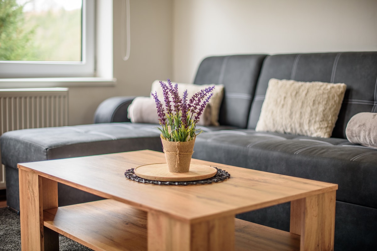 Apartmány Slavíkov - Superior Apartment