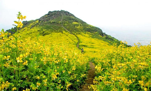 Cumbre-7-Lomas-de-Mangomarca-990x596.jpg