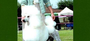 Track 3. Complete Master's Track--5 modules