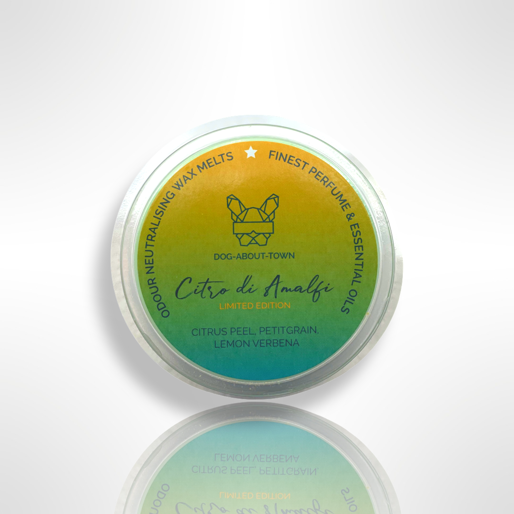 CITRO DI AMALFI - WAX MELT SEGMENT POT