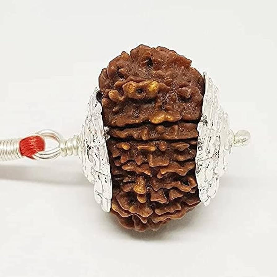 Thumbnail: 17 Mukhi Rudraksh Natural Nepal Certified