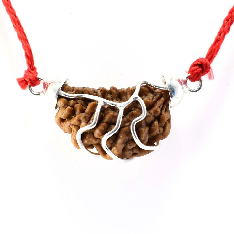 Thumbnail: 1 Mukhi Rudraksh Natural Nepal Certified