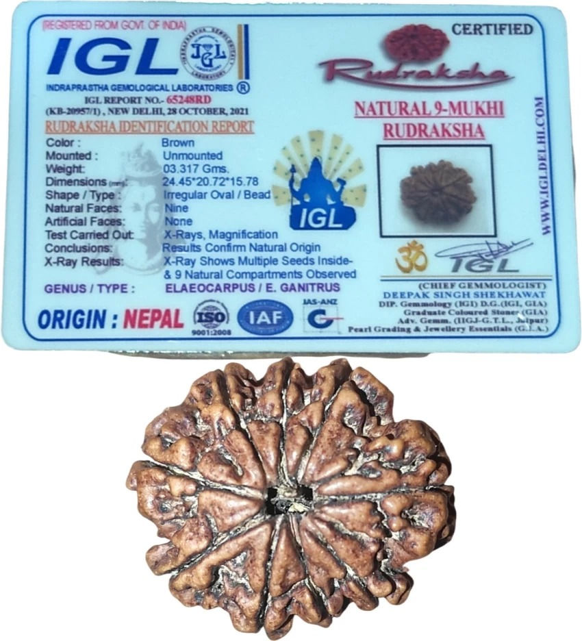 Thumbnail: 9 Mukhi Rudraksh Natural Nepal Certified