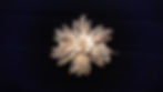 Broche ancienne en filigrane