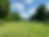 Photo pelouse Coupole.JPG