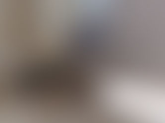 כלבים ונביחות - סיפור אישי וגם טיפ ...