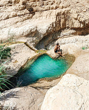 Perseids 2_edited.jpg