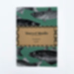 Tide's Shoal Notebook