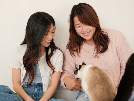 Creating Connections Through Cats - Christine and Ailee @nabicatcafe
