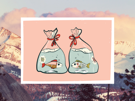 Celebrating Culture Through Creativity - Miranda @mandosbakeshop