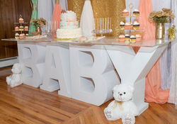 Baby Table & Backdrop
