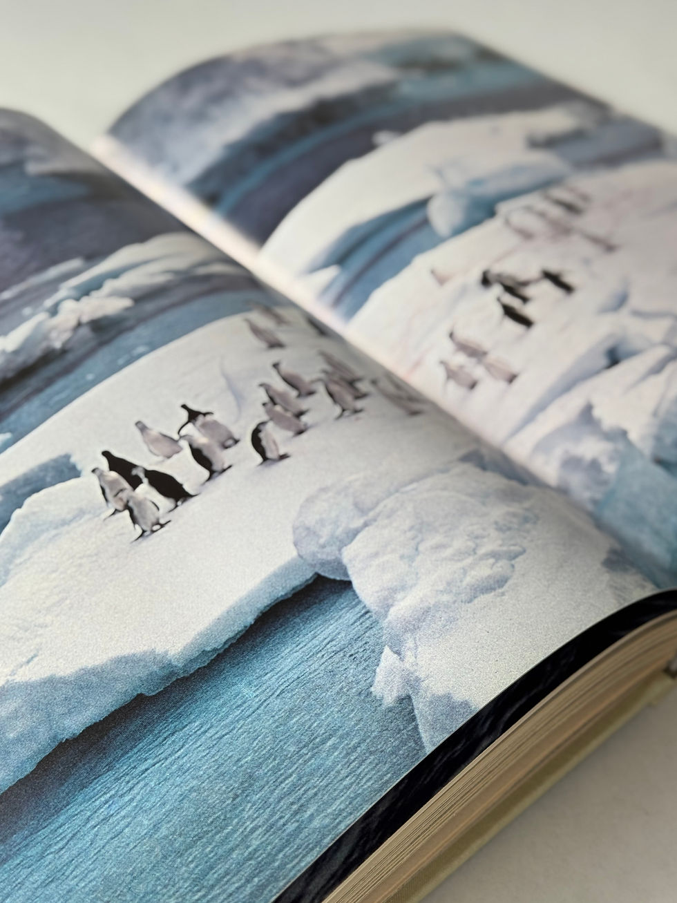 Thumbnail: The Audubon Society Book of Wild Birds