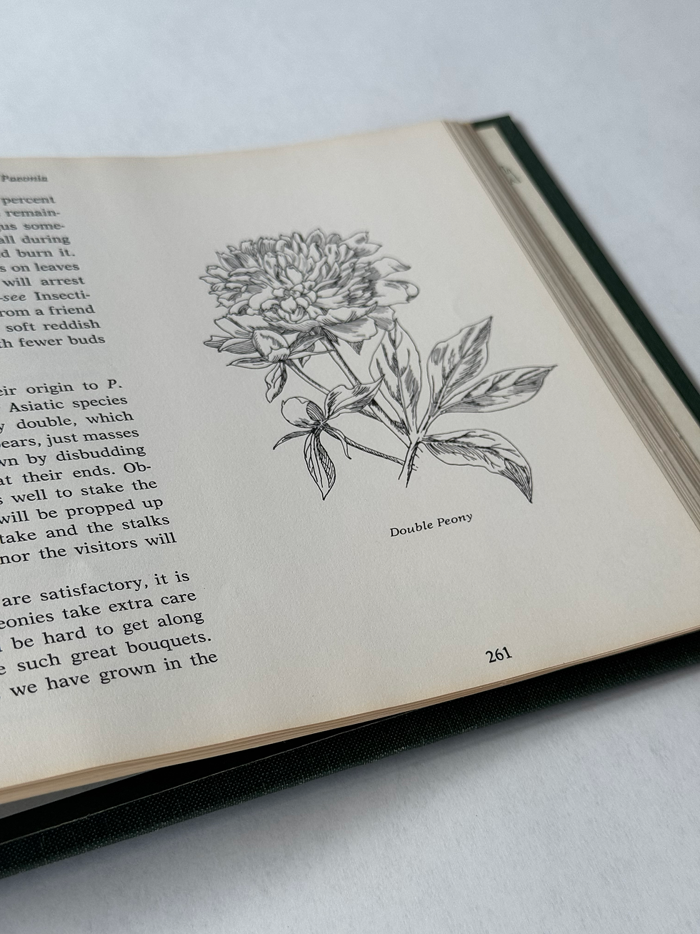 Thumbnail: The White Flower Farm Garden Book