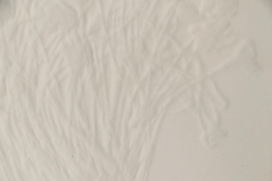 Thumbnail: Blind Embossed Print "Baby's Breath"