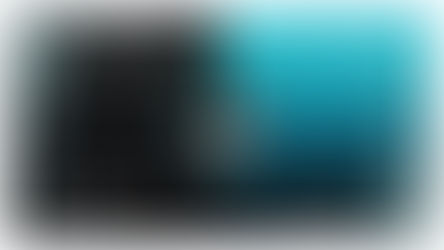 Apex部門 PUBG部門 共に大会FINAL進出