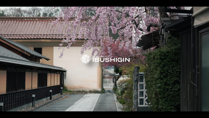 STREET FIGHTER部門 – ジョニィ 鶏めし 2BASSA加入、レンタルのお知らせ